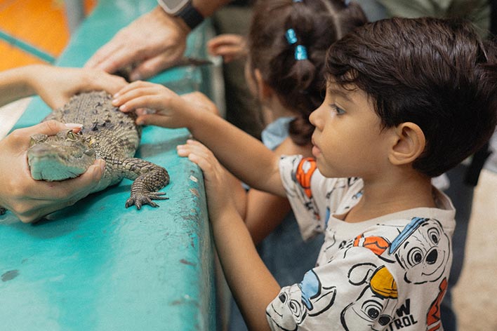 Montessori, educación personalizada, ambiente preparado, aprendizaje autónomo, desarrollo integral, método Montessori, respeto por el niño, actividades sensoriales, libertad dentro de los límites, comunidad de aprendizaje.